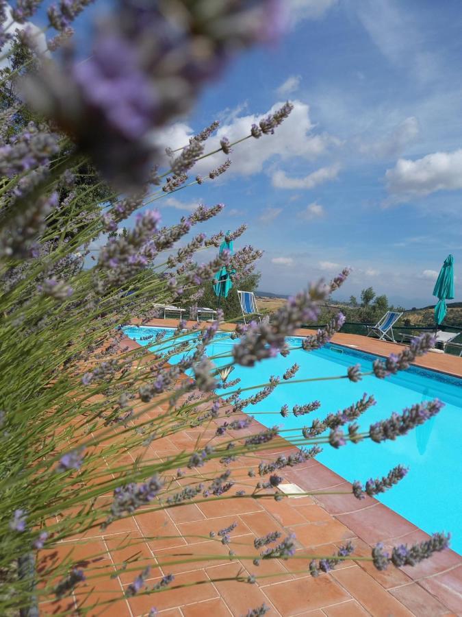 La Mariola Apartments Santa Luce Bagian luar foto